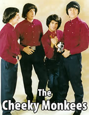 Monkees Tribute Band